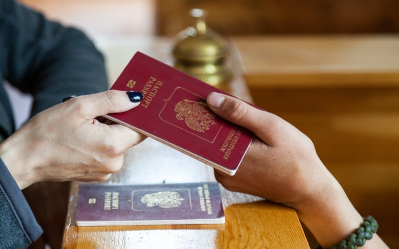 Summer in the Vineyards Passports